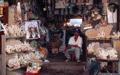 WWF warnt Urlauber vor tierischen Souvenirs