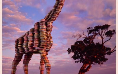 WWF-Giraffe gewinnt erstmalig Gold beim News-Magazin-Award