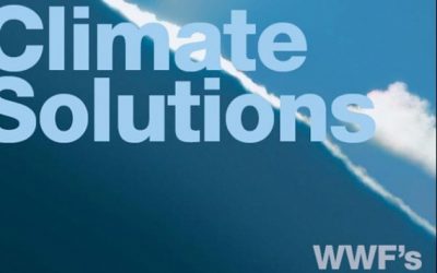WWF präsentiert Klimaplan für die Welt
