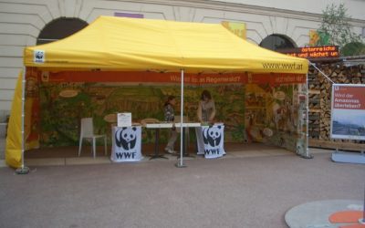 Regenwald erleben für Groß und Klein