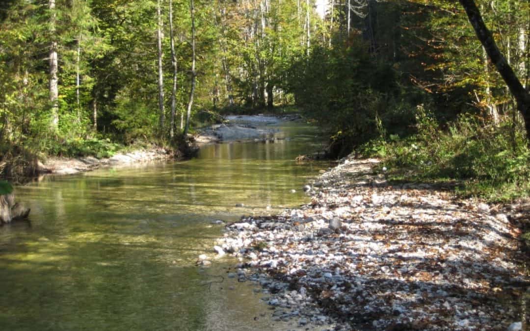 Pröll und Aichberger: Gemeinsam für den Schutz heimischer Gewässer