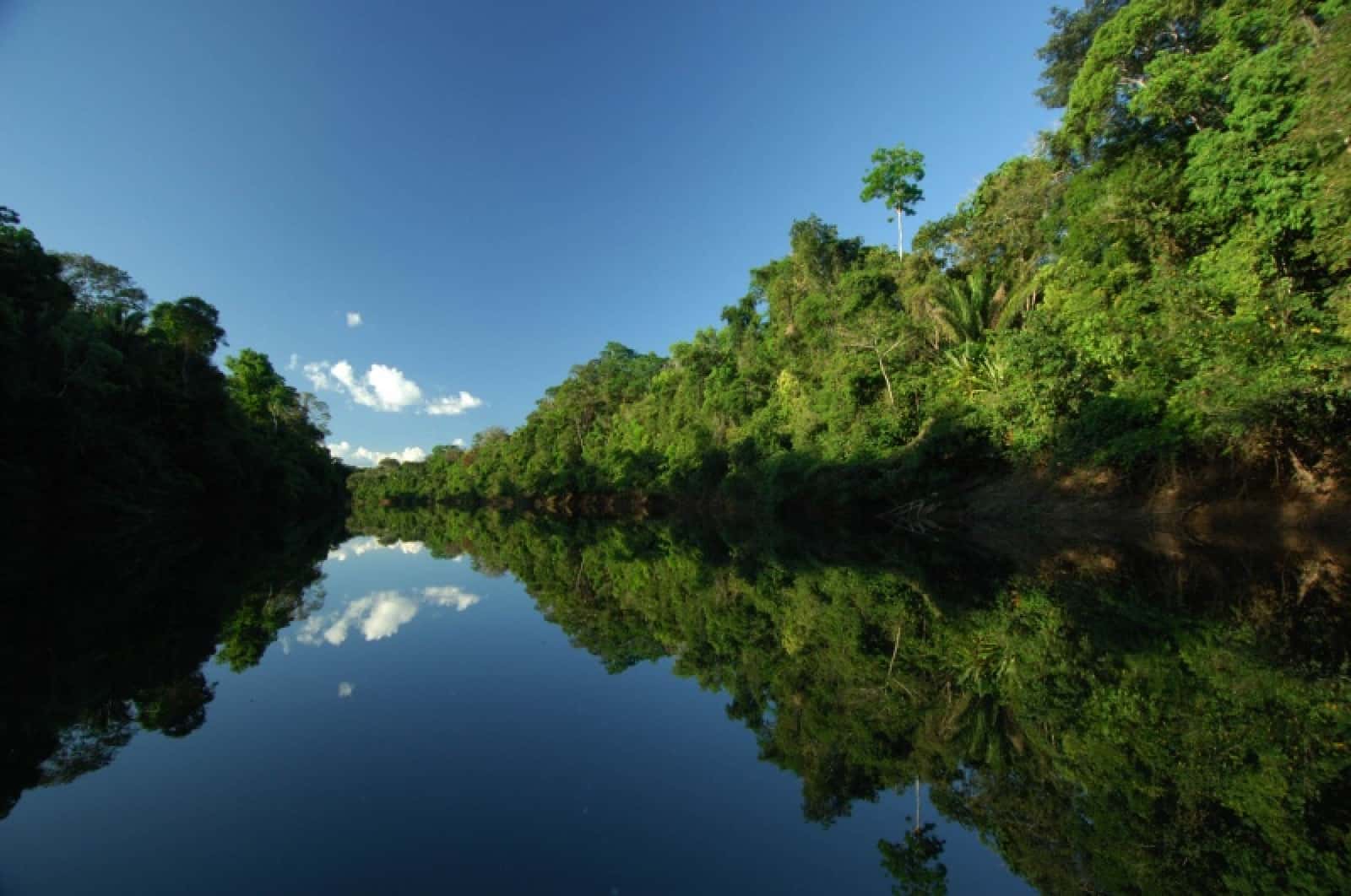 Amazonasfluss, © by WWF-Canon/ Zig KOCH Amazonasfluss, © by WWF-Canon/ Zig KOCH