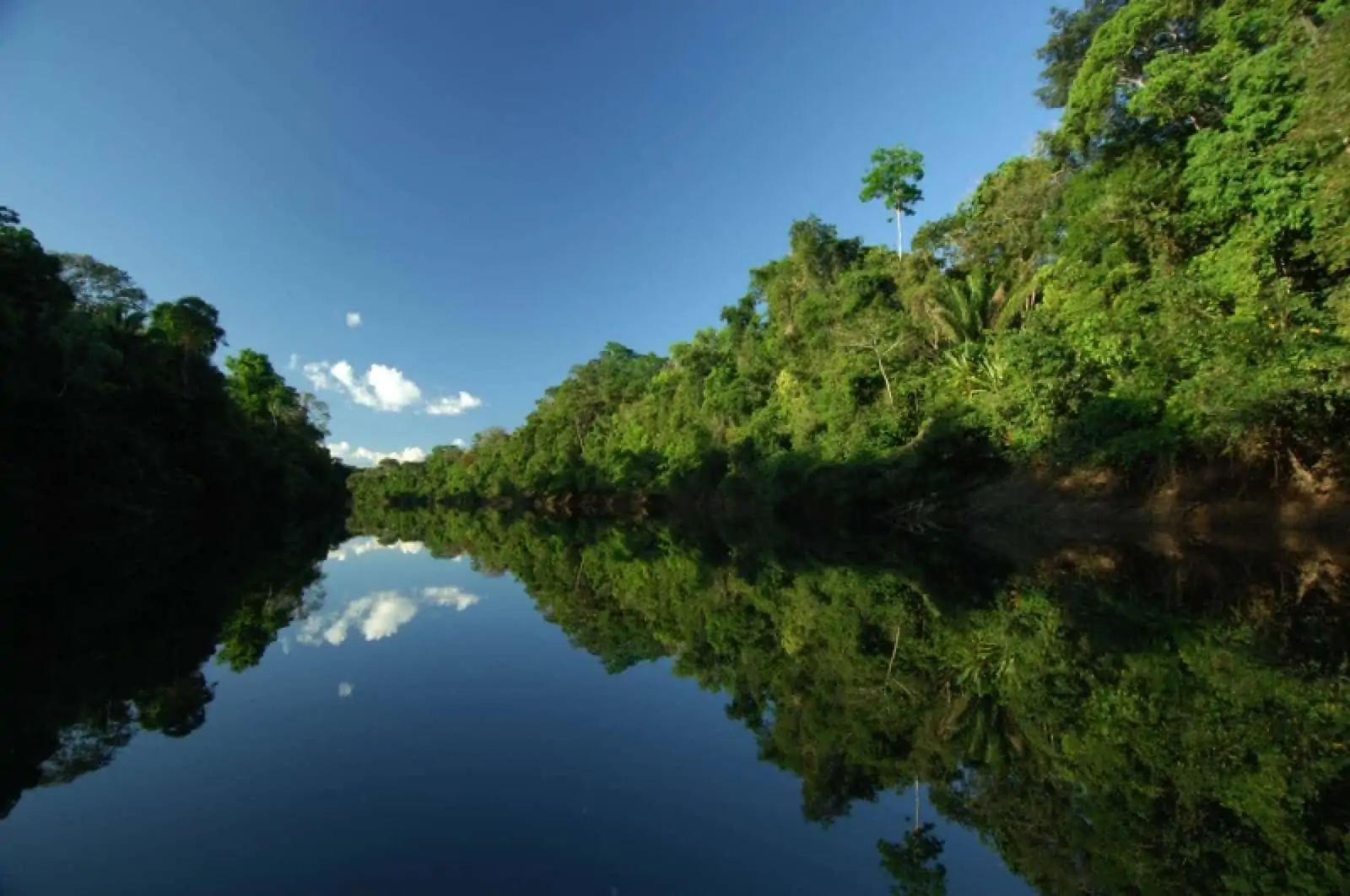 Amazonasfluss, © by WWF-Canon/ Zig KOCH Amazonasfluss, © by WWF-Canon/ Zig KOCH