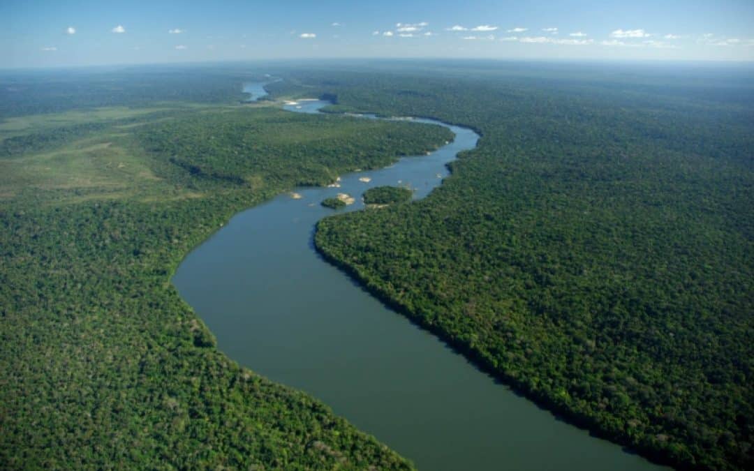 WWF Charity Gala: Eine Nacht für die Klimaanlage der Erde