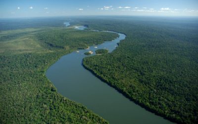 WWF Charity Gala: Eine Nacht für die Klimaanlage der Erde