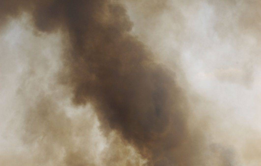 WWF-Studie: Schutzgebiete gegen extreme Wetterereignisse