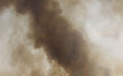 WWF-Studie: Schutzgebiete gegen extreme Wetterereignisse