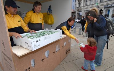 Lichtermeer für den Klimaschutz: WWF unterstützt IKEA