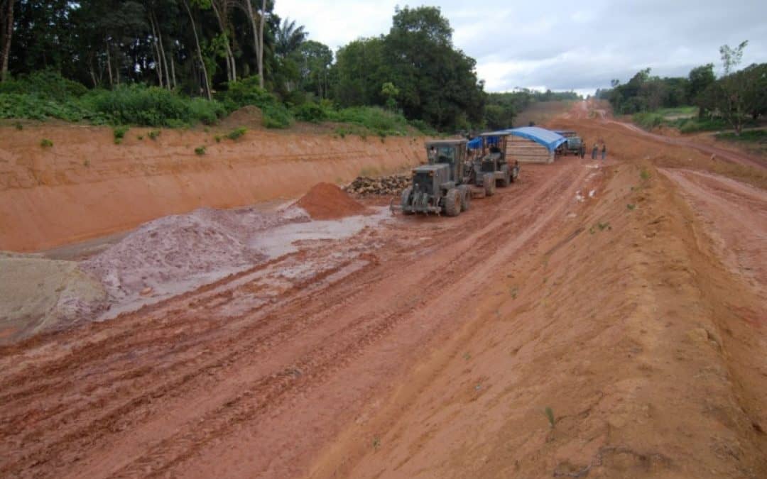 WWF: Brasilien soll auf illegales Tropenholz verzichten