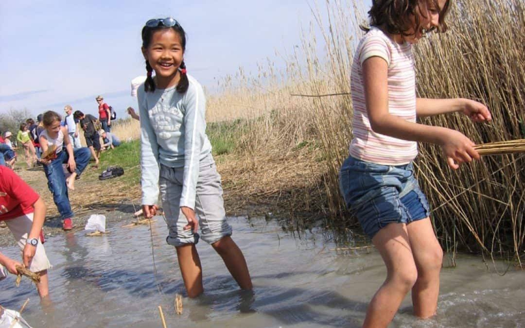Schulbeginn im Klassenzimmer Natur!