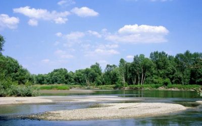WWF: Weltweit erster 5-Länder-Biosphärenpark nominiert