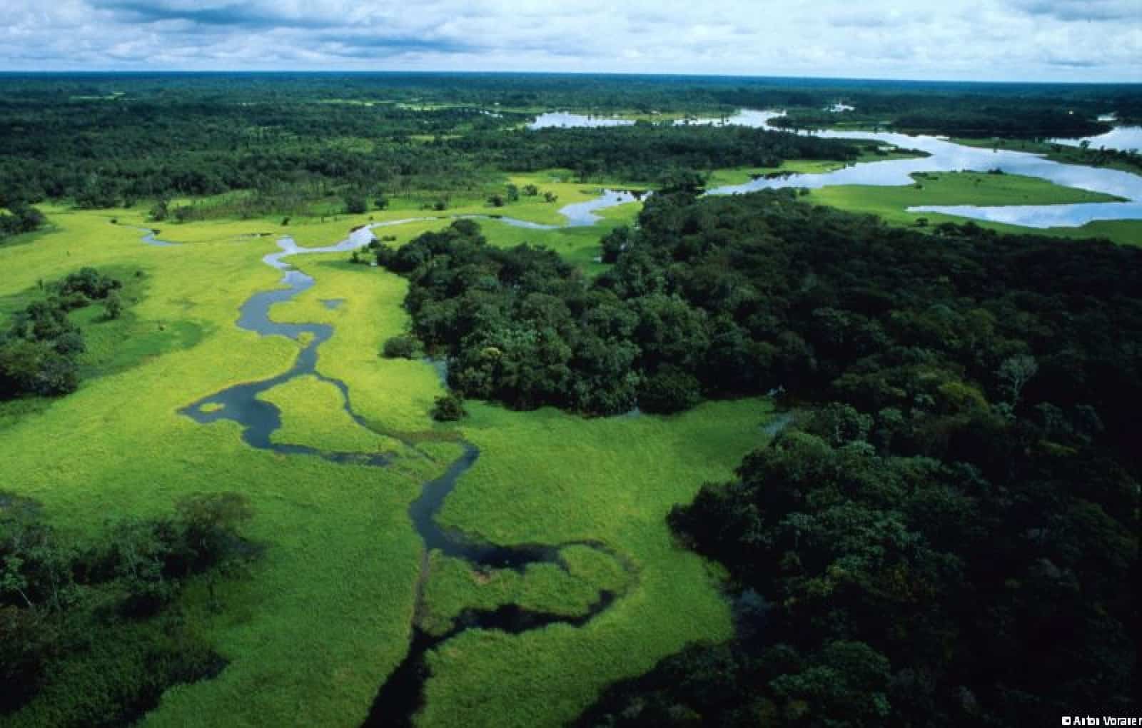 Luftaufnahme Amazonasbecken