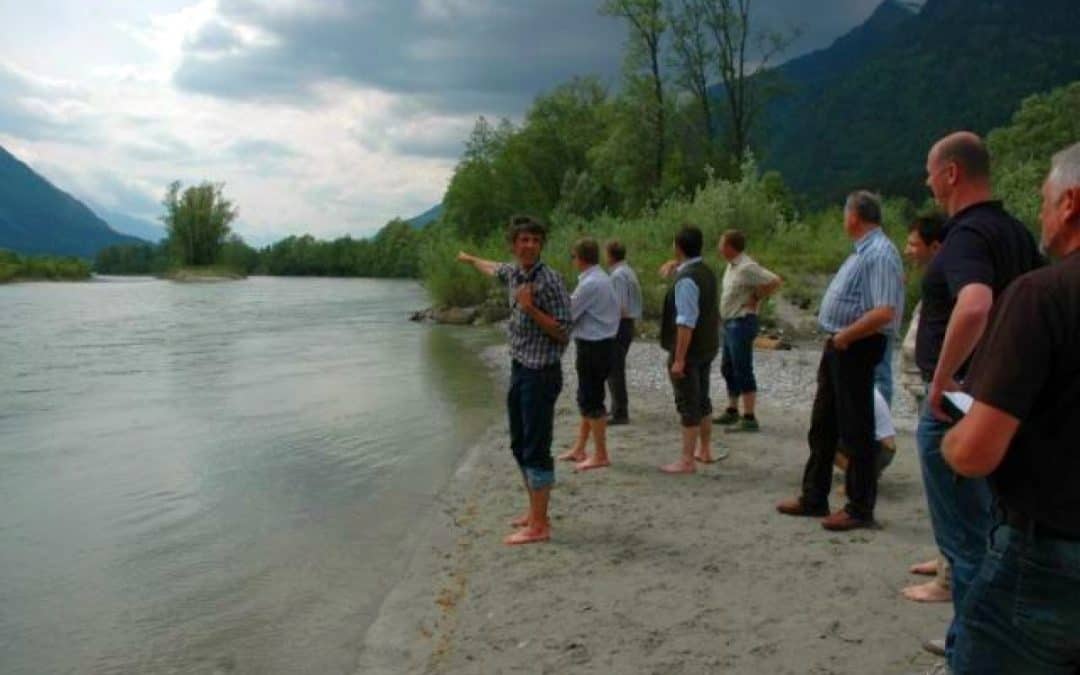 Für neues Leben an Drau und Traun !