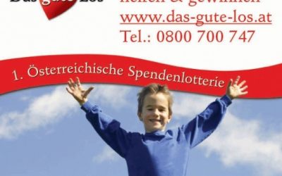 WWF: Spendenlotterie unterstützt unsere Braunbären