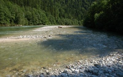 Oberösterreichs Flüsse im Rampenlicht: „Fest der Flüsse“ in Linz