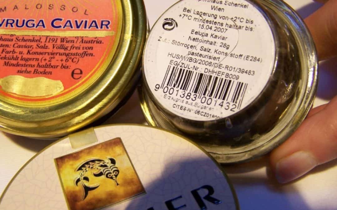 WWF: Kaviar – Nicht nur im Wahlkampf ein Thema!