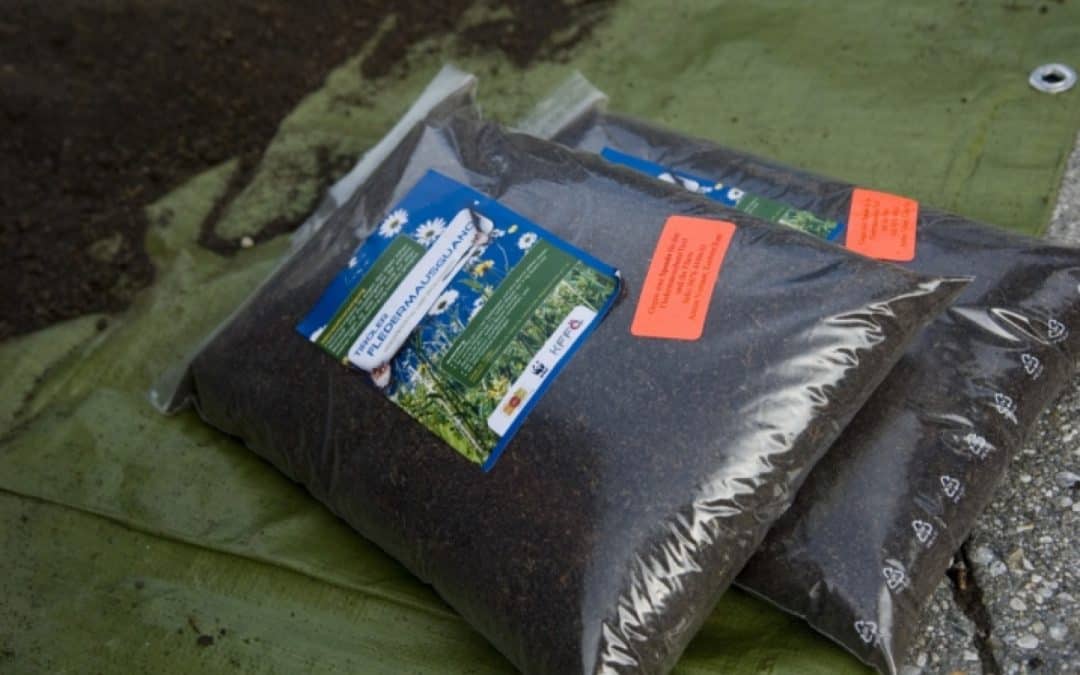 WWF erntet eine Tonne Fledermausguano in Tirol