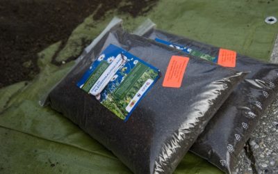 WWF erntet eine Tonne Fledermausguano in Tirol