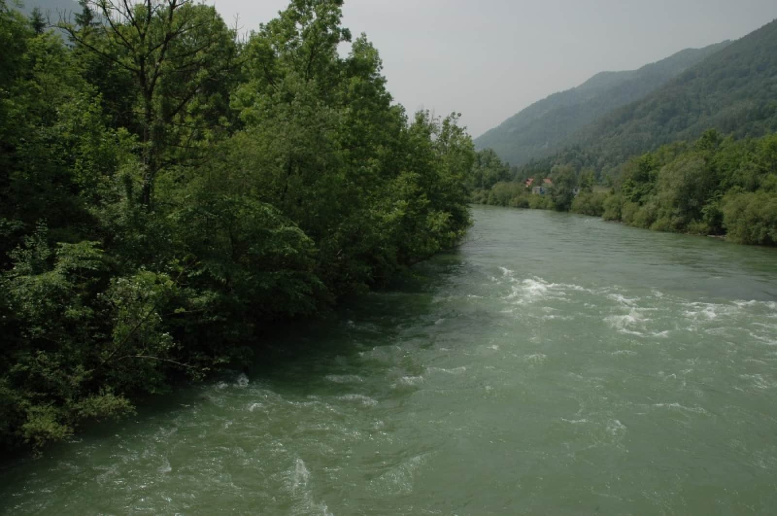 Lahnstein: Rechtes Traunufer vor Baubeginn am 25.06.08, © by L.Feichtinger/WWF-Ö Lahnstein: Rechtes Traunufer vor Baubeginn am 25.06.08, © by L.Feichtinger/WWF-Ö