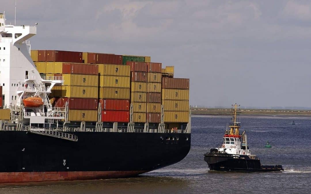 EU-Lieferkettengesetz: WWF fordert Nachschärfungen