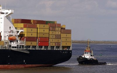 EU-Lieferkettengesetz: WWF fordert Nachschärfungen