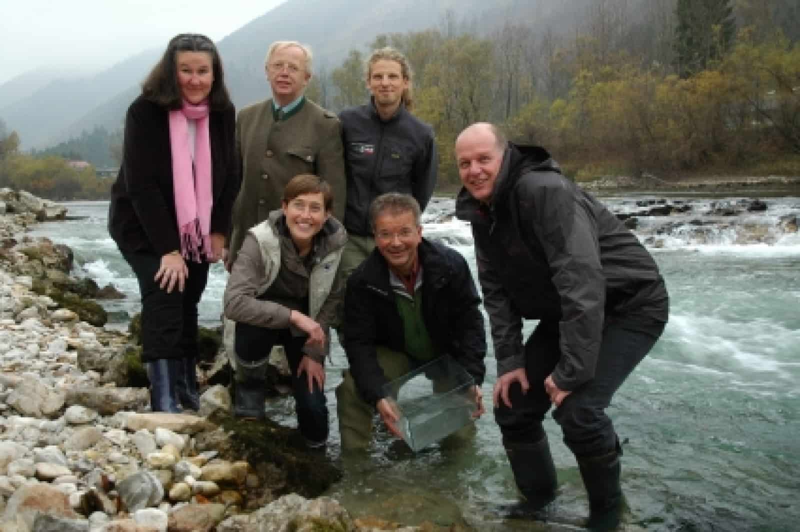 Fischbeisatz Lahnstein an der Traun