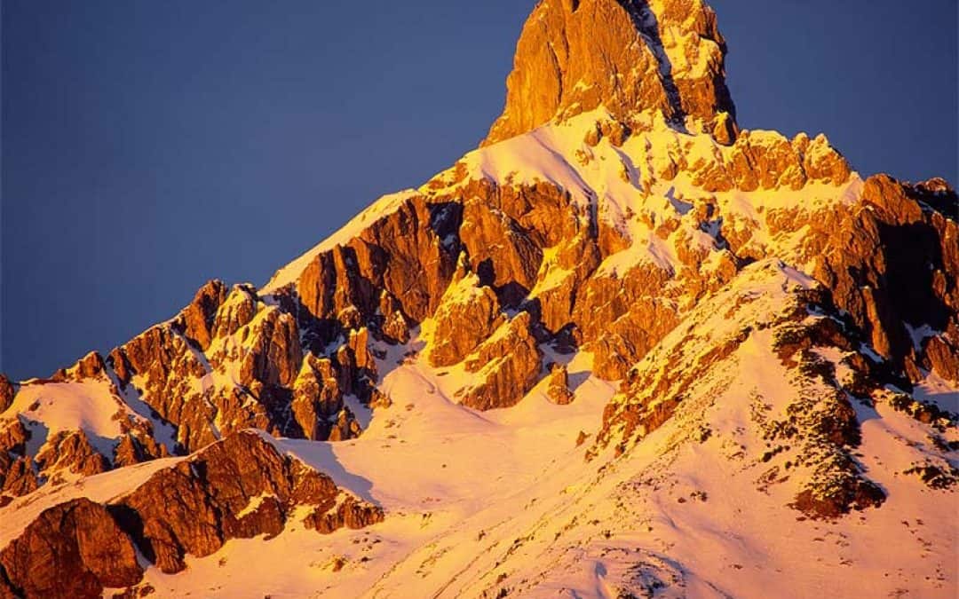 Toni Innauer unterstützt WWF-Klimaoffensive in Poznan