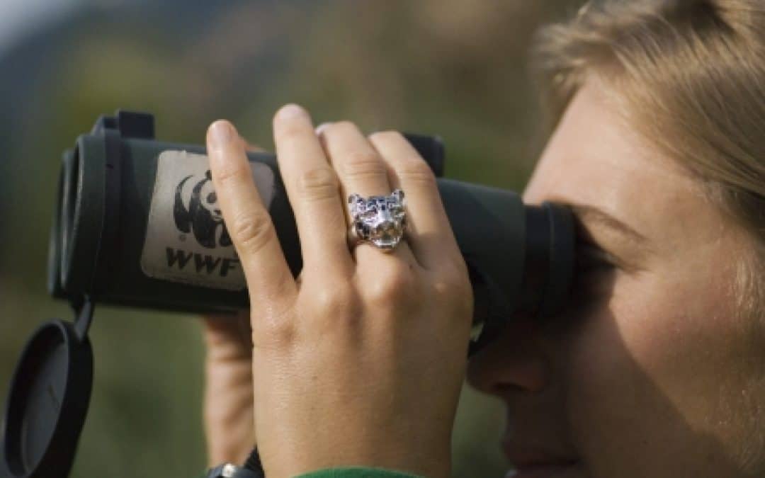 Ein Geschenk für den Regenwald