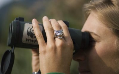 Ein Geschenk für den Regenwald