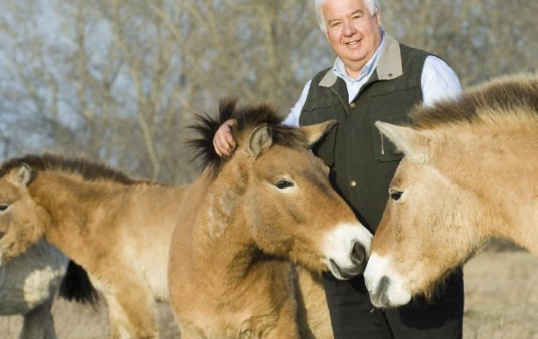 WWF wählt neuen Vorstand: Helmut Pechlaner wird Ehrenpräsident