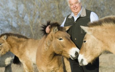 WWF wählt neuen Vorstand: Helmut Pechlaner wird Ehrenpräsident