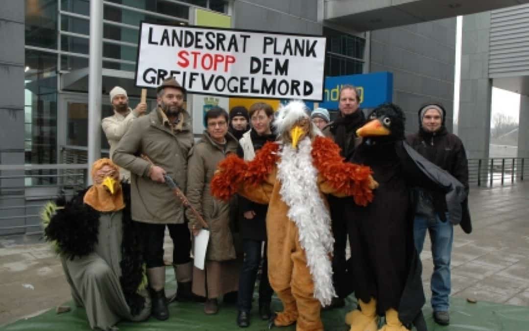 Stopp dem Greifvogelmord in Niederösterreich!