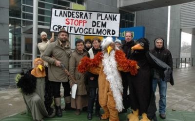 Stopp dem Greifvogelmord in Niederösterreich!