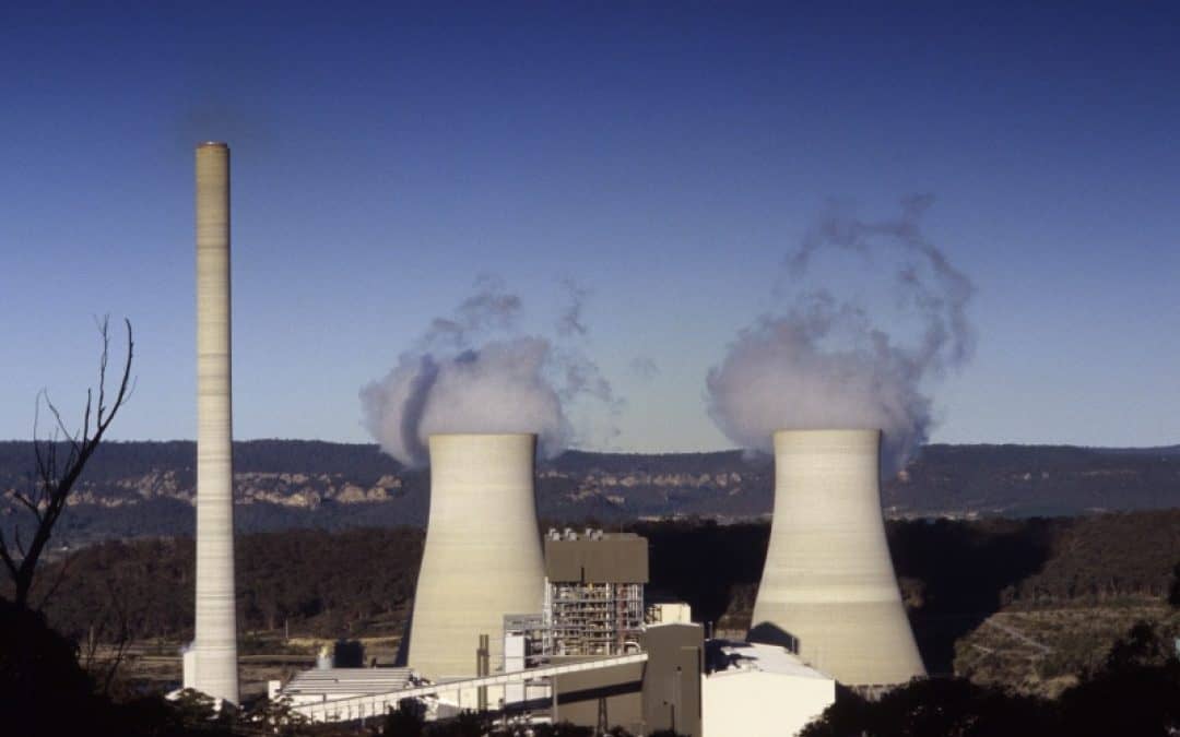 WWF unterstützt Kampagne “Österreich – RAUS aus EURATOM”