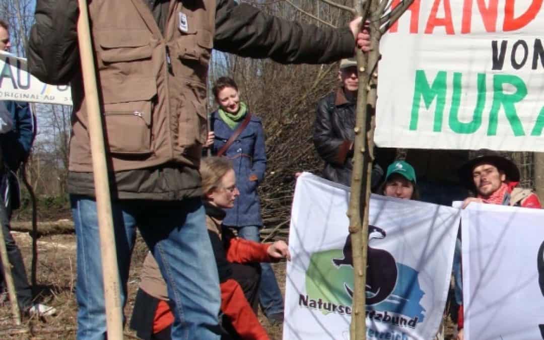 Baum der Hoffnung: WWF unterstützt Aubesetzer an der Mur