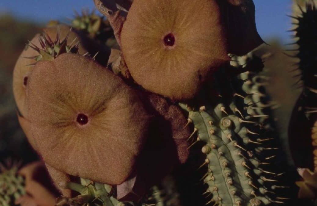 Umweltbewusster Kampf gegen den Winterspeck
