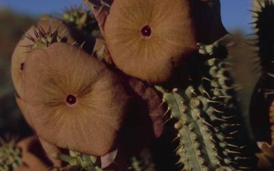 Umweltbewusster Kampf gegen den Winterspeck