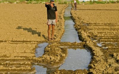 Weltwasserforum: Kampf gegen Globale Wasserkrise