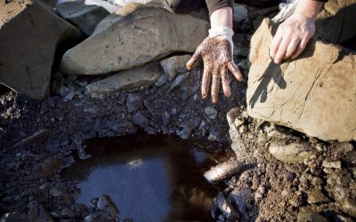 20 Jahre Tankerkatastrophe Exxon-Valdez in Alaska