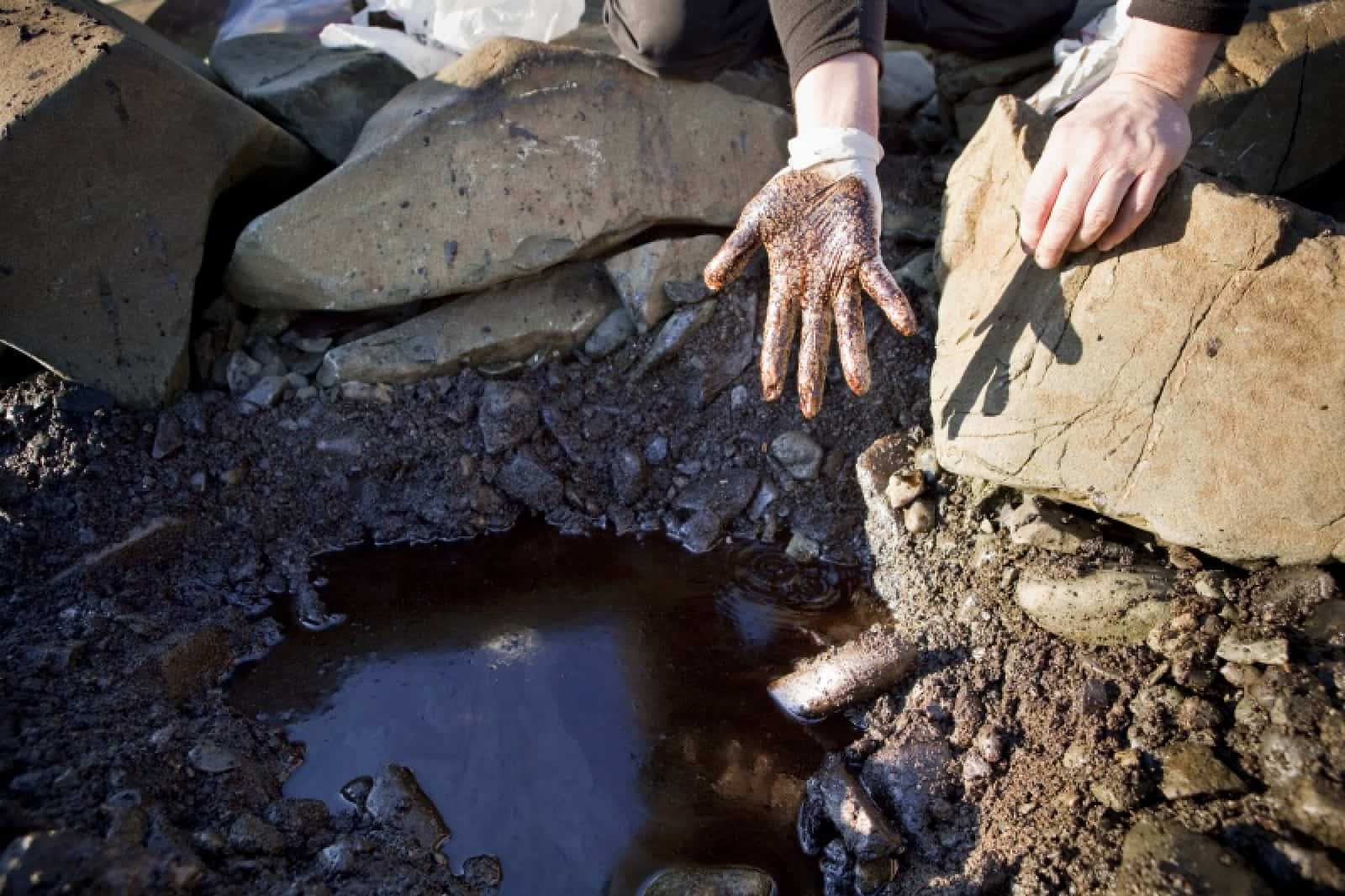 hands_oil