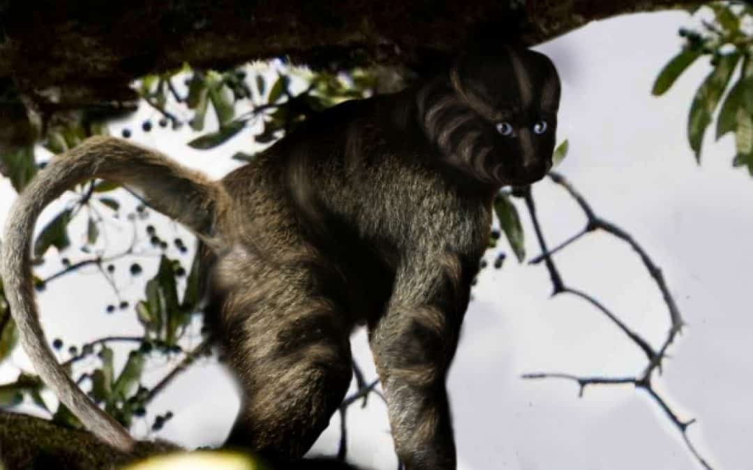 APRILSCHERZ-Artikel: WWF entdeckt neue sprechende Affenart im Amazonas