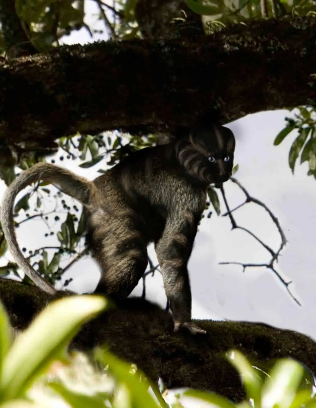 Affenart, © by ©Christoph Schönbäck_WWF Affenart, © by ©Christoph Schönbäck_WWF