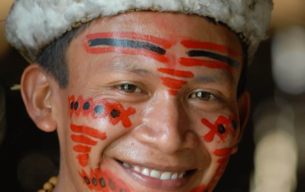 Ökotourismus als Mittel gegen die Amazonasabholzung