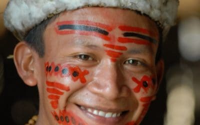 Ökotourismus als Mittel gegen die Amazonasabholzung