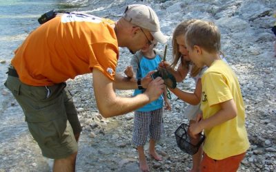 WWF-Sommercamp: Eine Woche Spaß und Abenteuer am Inn