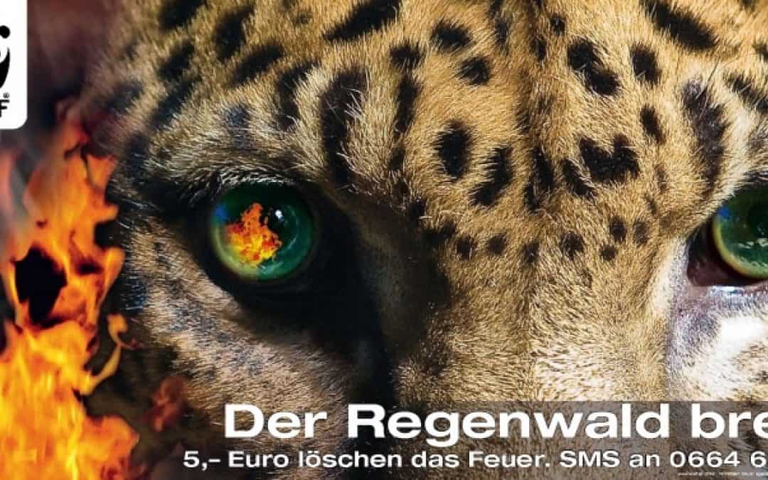 Das brennende Jaguarauge: Neue Plakatkampagne des WWF