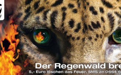 Das brennende Jaguarauge: Neue Plakatkampagne des WWF