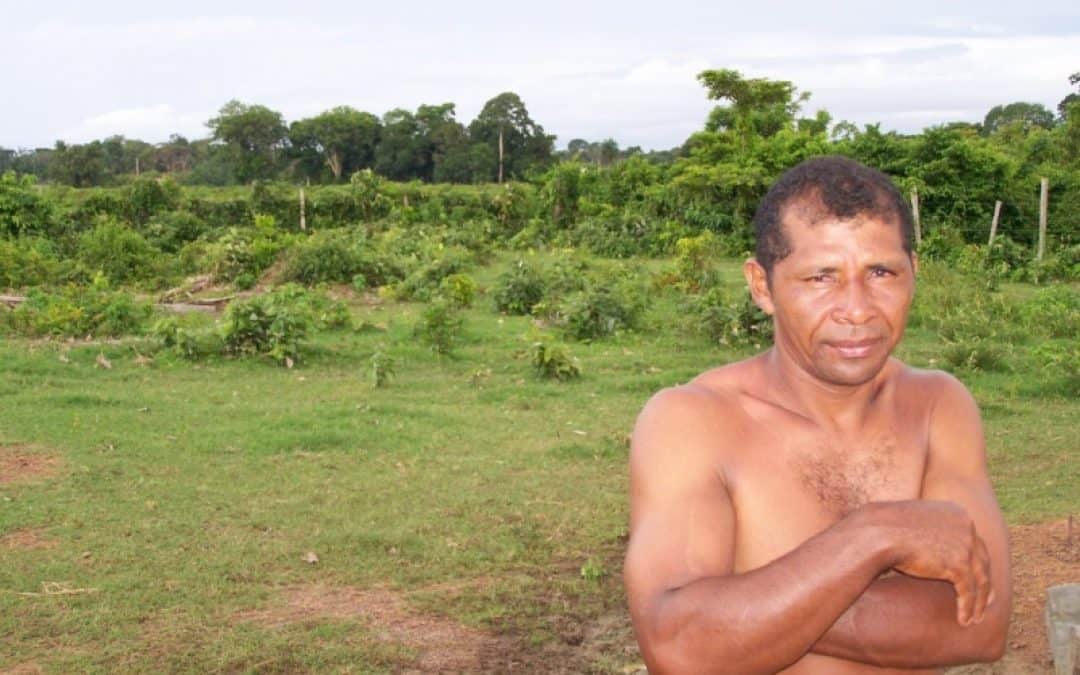 WWF: Brasilianische Regierung säumig bei Regenwaldschutz