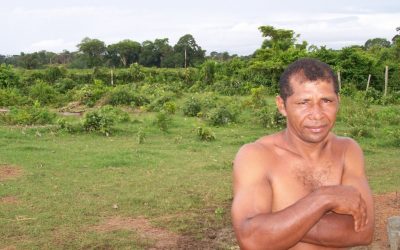 WWF: Brasilianische Regierung säumig bei Regenwaldschutz