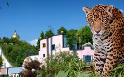 Rogner Bad Blumau schützt 50.000 Hektar Regenwald im Schlaf